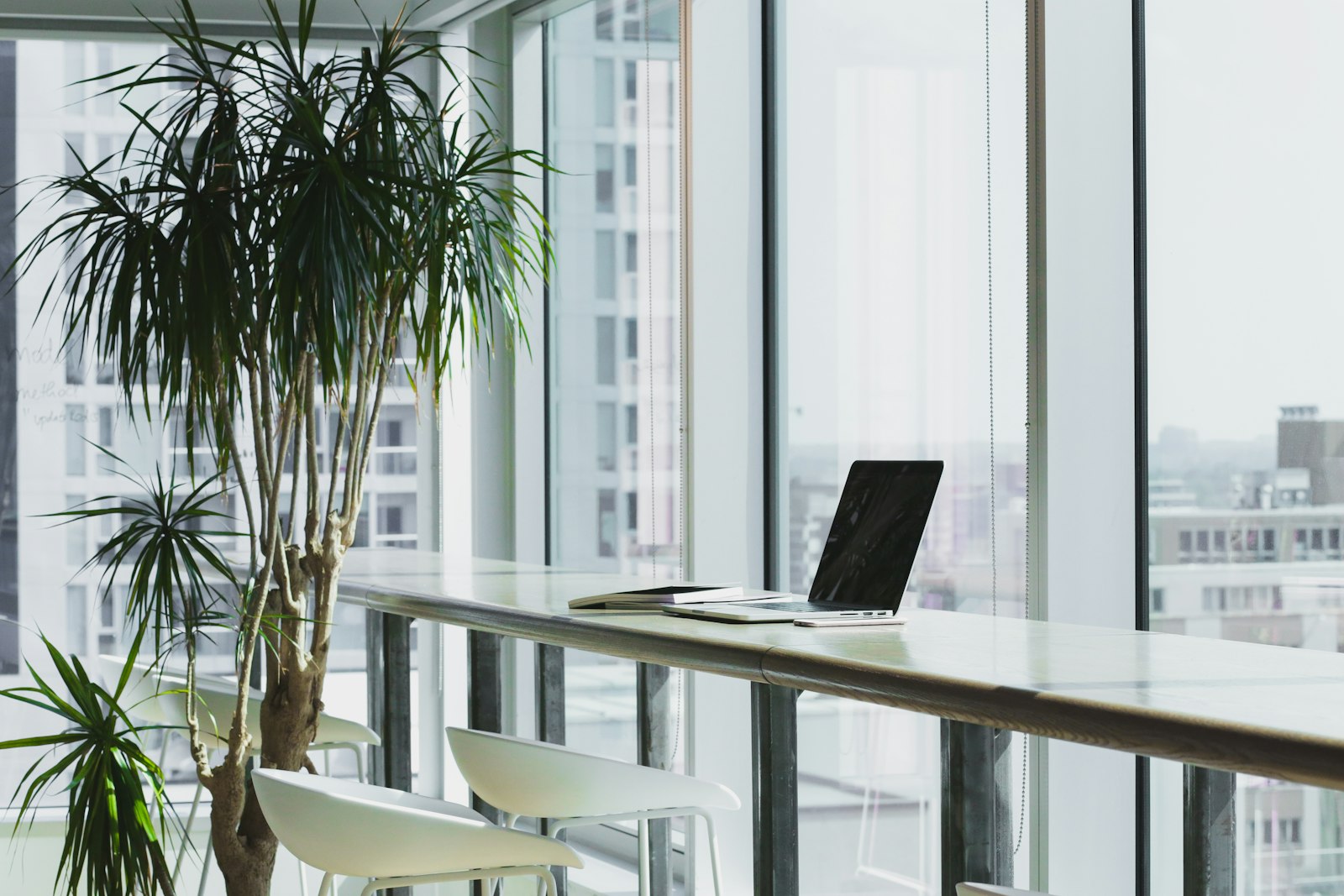 Bright office with plants and people working at long shared desks